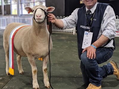 00100l PORTRAIT 00100 BURST20190922173622344 COVER