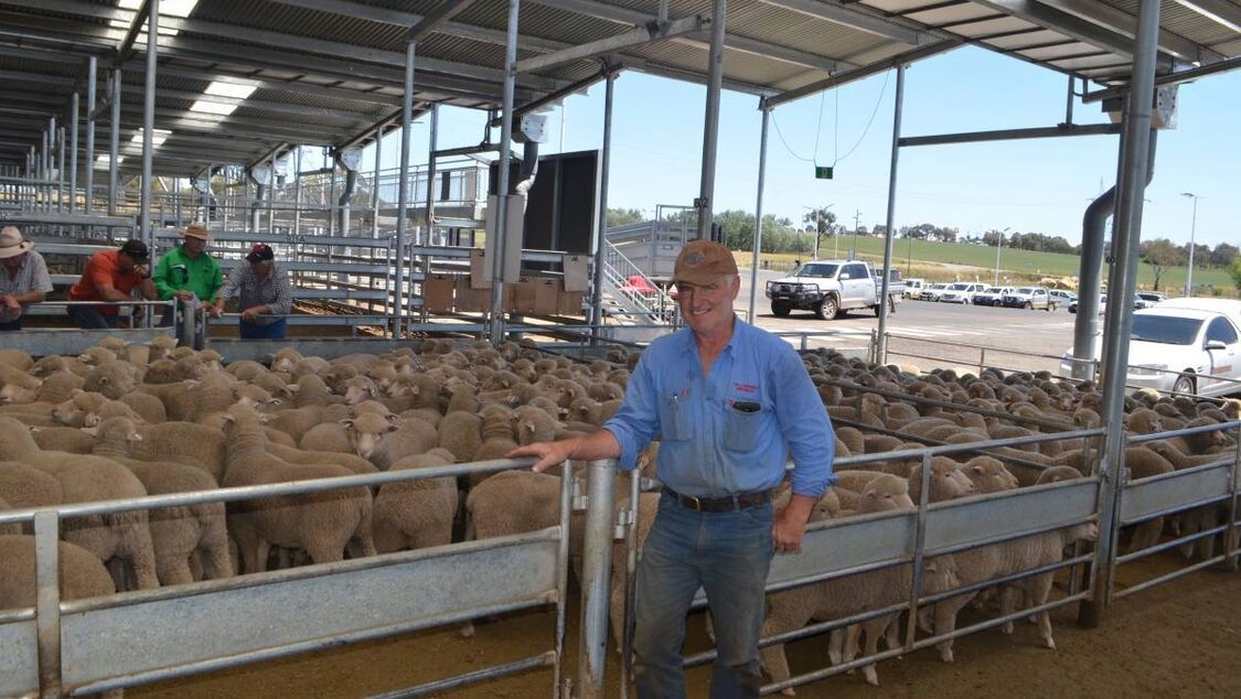 Commercial Focus 2 1