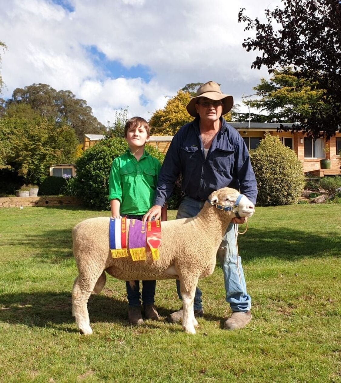 Charlie O Rourke Mt Bathurst Poll Dorset Stud
