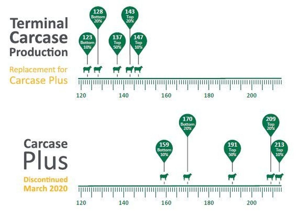 TCP Graphic