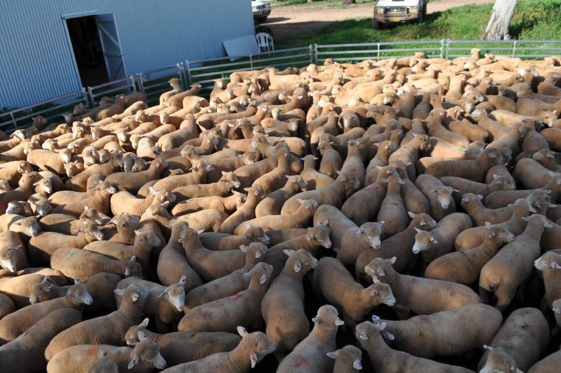 R0 0 4288 2848 w1200 h678 fmax