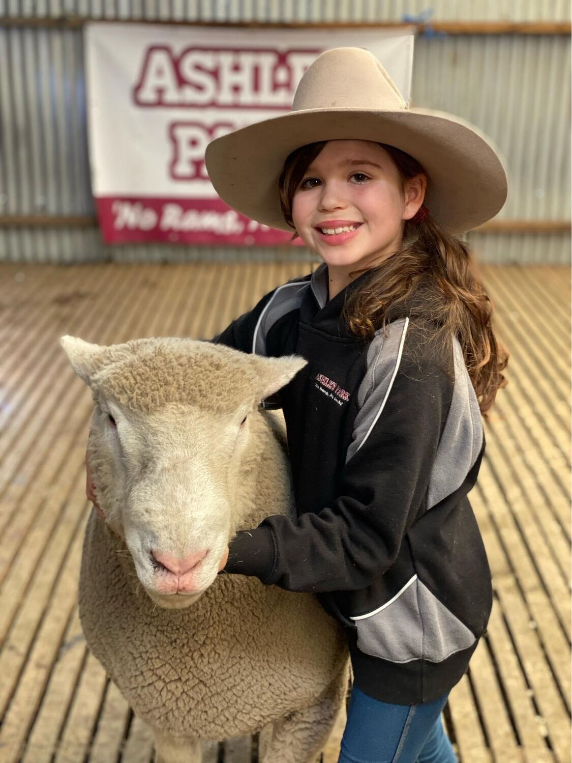 Youth Yarns Showcase your Sheep