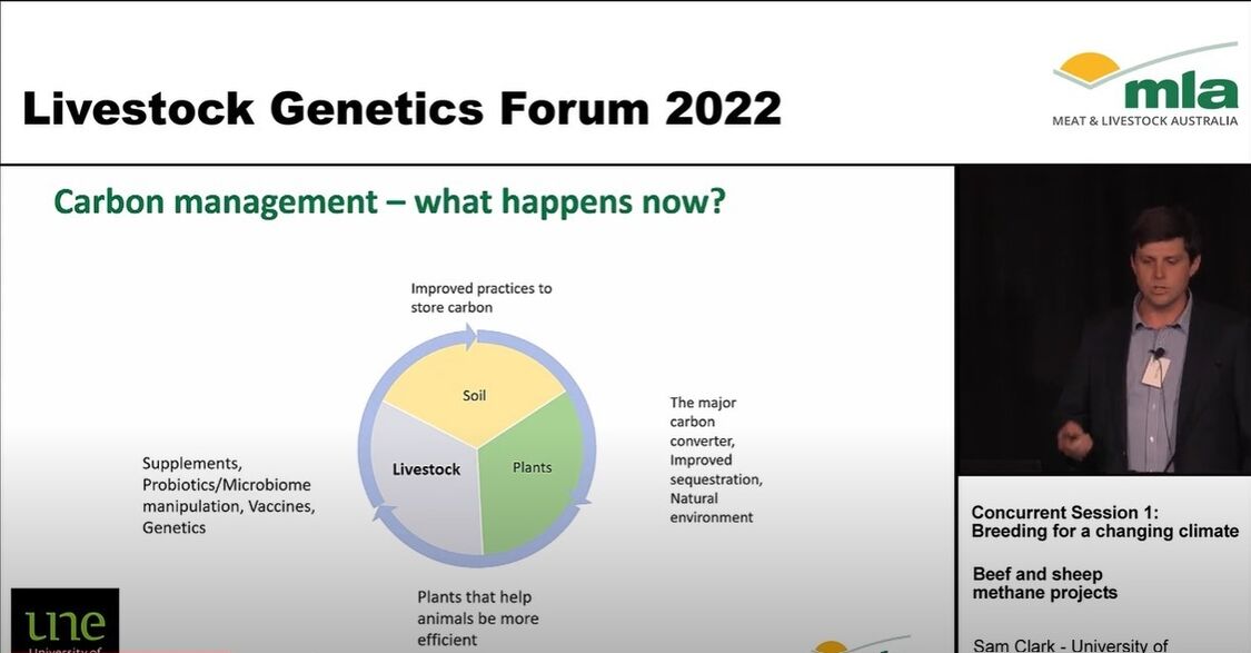 Screenshot 2022 08 08 125009