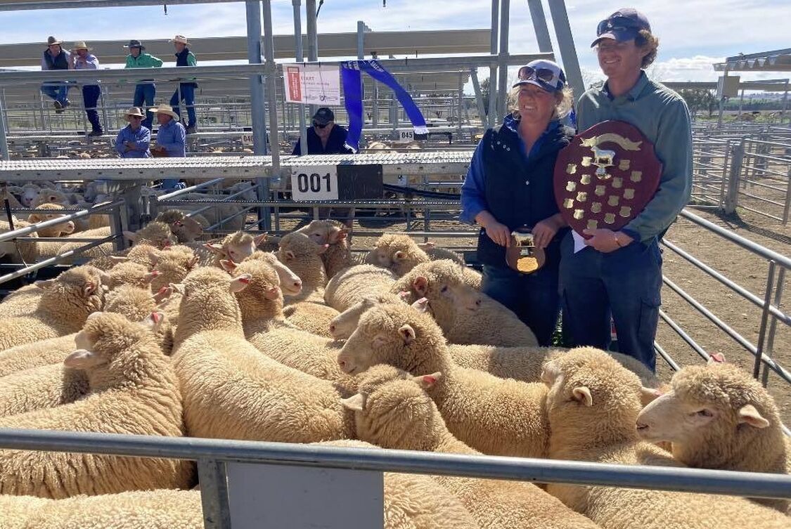 Tamworth Show Lambs