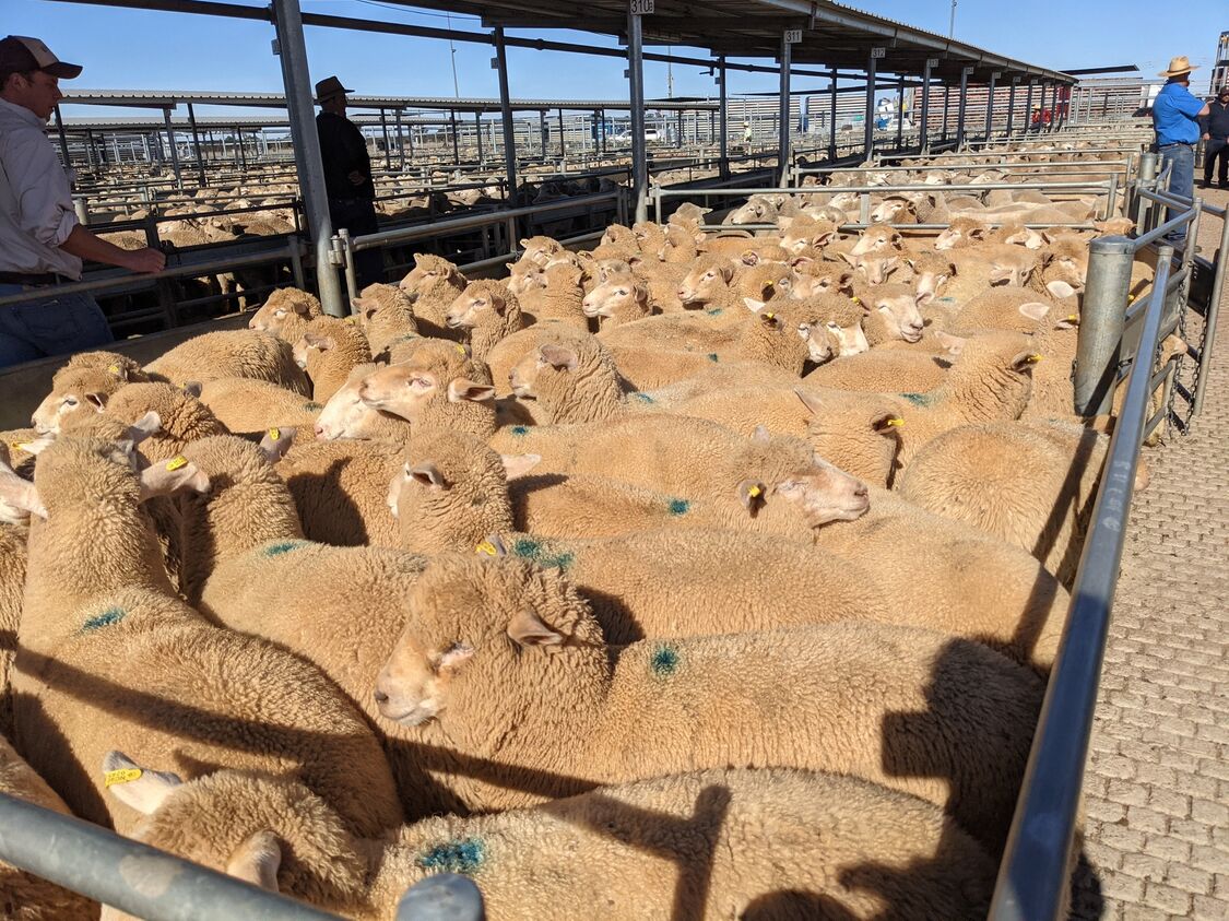 PXL 20210622 021439598