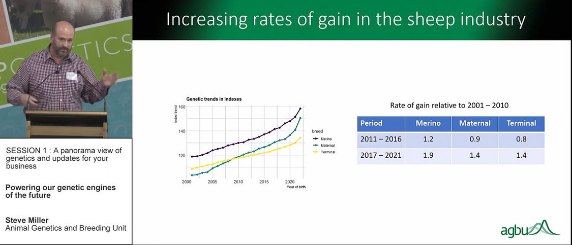 Sheep genetics Steve Miller 1
