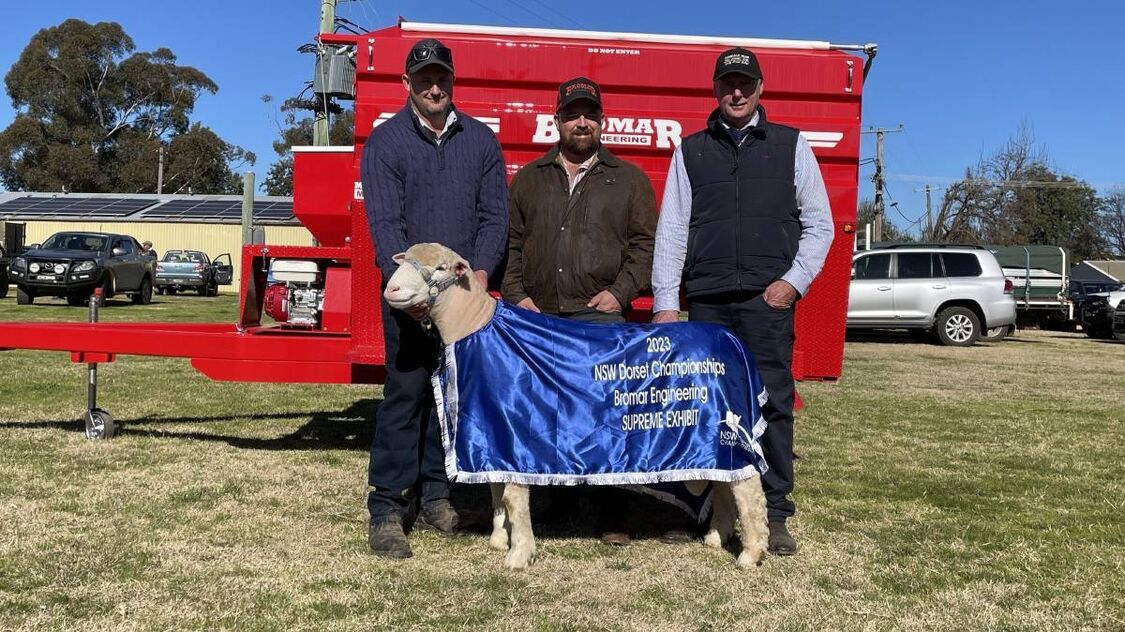 R0 421 4032 2688 w1200 h678 fmax