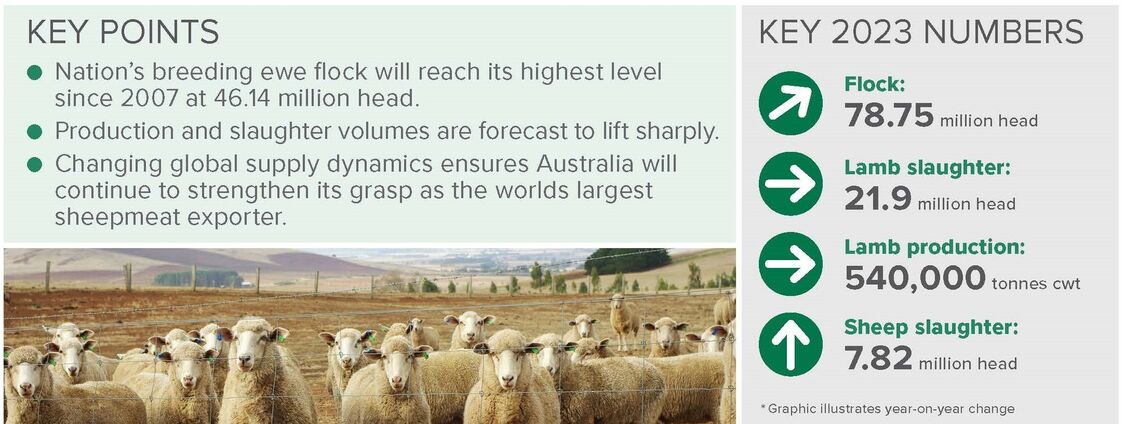 Pages from july 2023 mla australian sheep industry projections update 060723 pdf