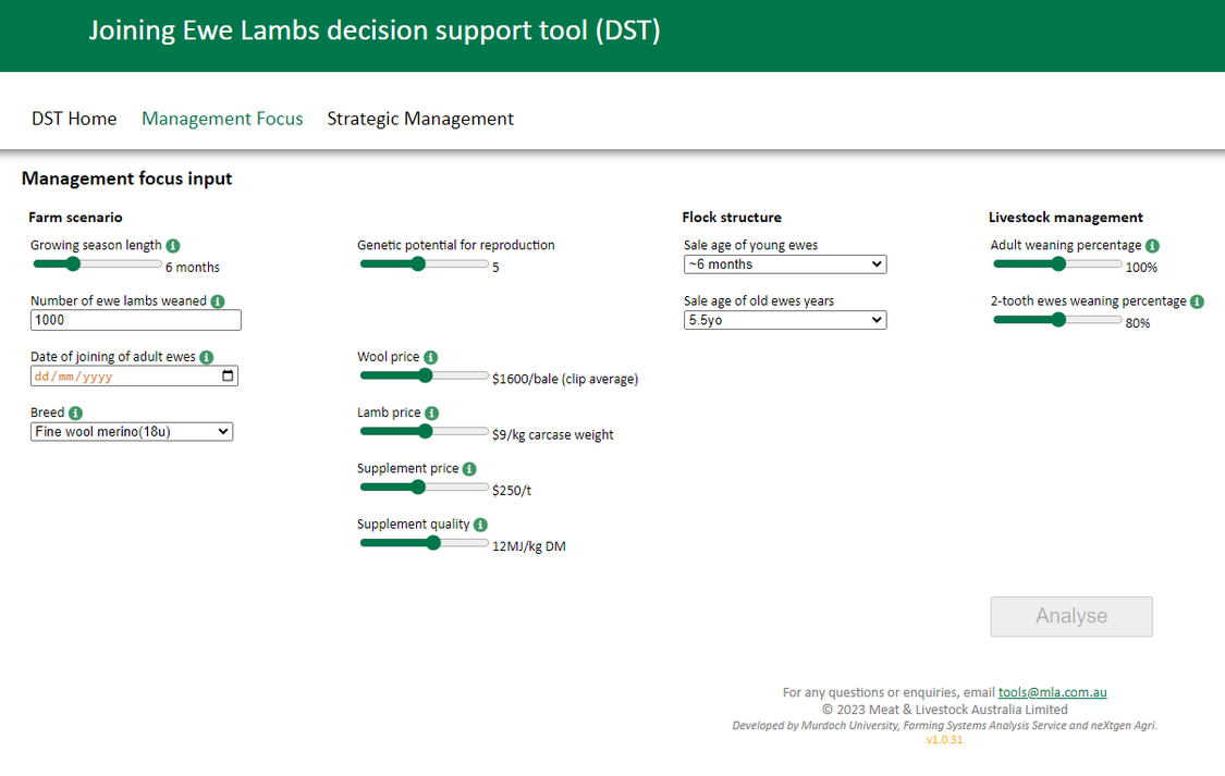 Ewe lamb tool