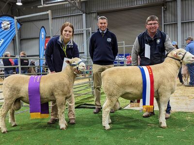 Original 1c9b3e07 db79 446c bb6d 179c890f950a PXL 20230715 062144025 1