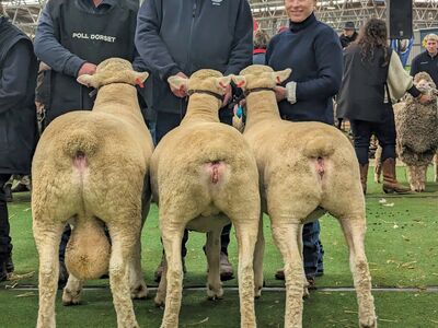 PXL 20230716 012635746