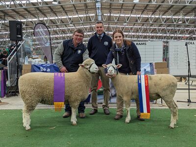 PXL 20230715 013229344 1