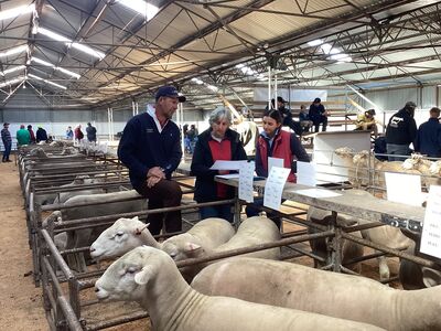 Hamilton Naracoorte Field Day 3