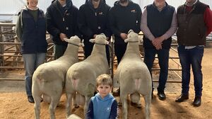 Hamilton Naracoorte Field Day 1