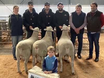 Hamilton Naracoorte Field Day 1