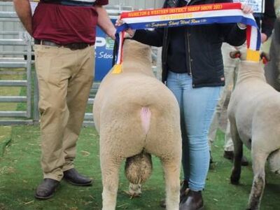 R0 0 2848 4272 w1200 h678 fmax