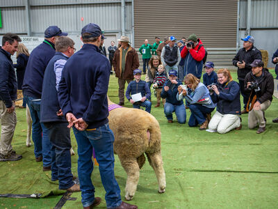 Poll Dorset 2024 ASWS 1