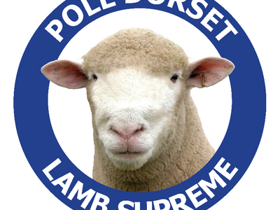 Logo Sticker