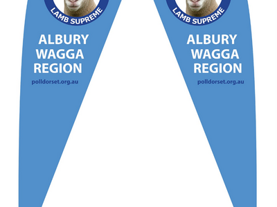 Tear Drop Banners