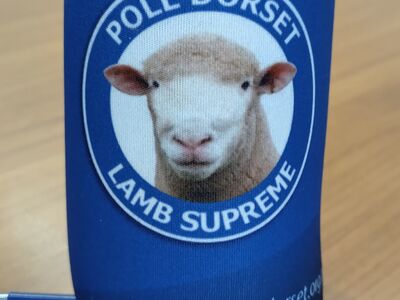 Poll Dorset Stubby Holders 1