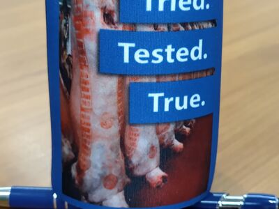 Poll Dorset Stubby Holders 2