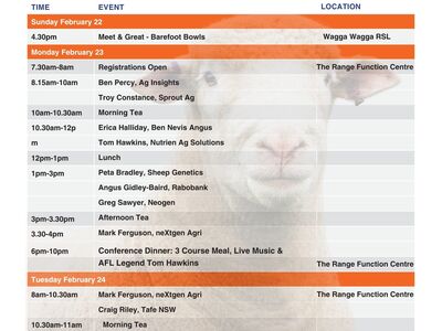 607435146 122149392848663686 4125230587982631478 n